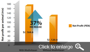 Modivitasan weight gain