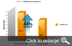 Modivitasan weight gain